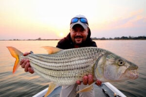 Angler holding a trophy tigerfish at sunset on the upper Zambezi, Shackletons Tiger Fishing Lodge, Zambia