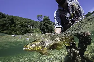 Los Torreones Lodge – Simpson River Fly Fishing, Aysén - Fishing