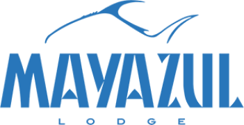 mayazul-logo.png